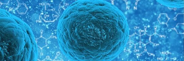 blue cells (c) unsplash
